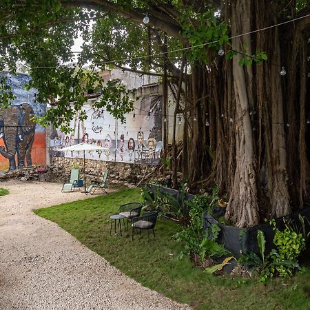 Apartmán La Quinta Caribena Playa del Carmen Exteriér fotografie