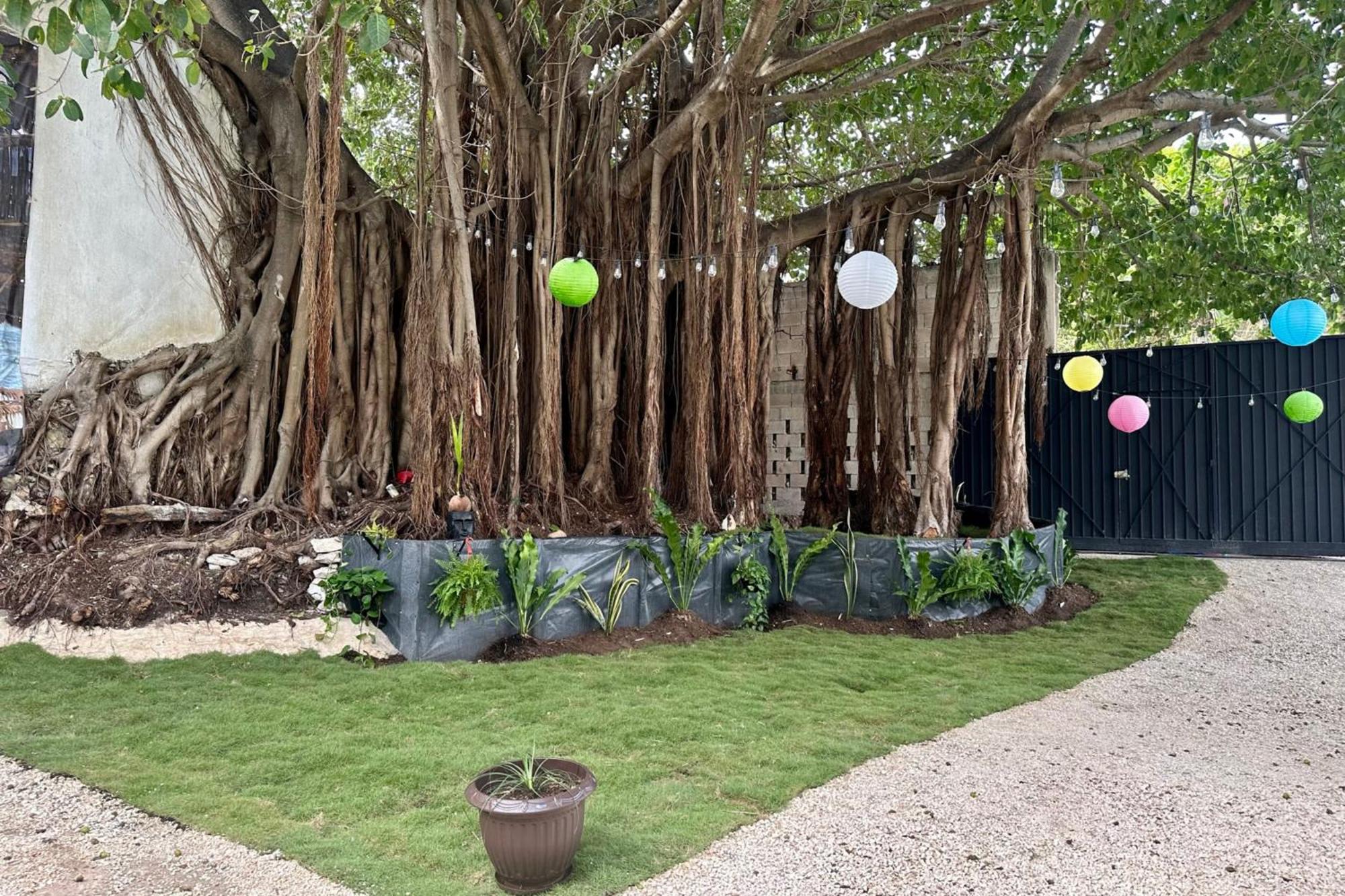 Apartmán La Quinta Caribena Playa del Carmen Exteriér fotografie